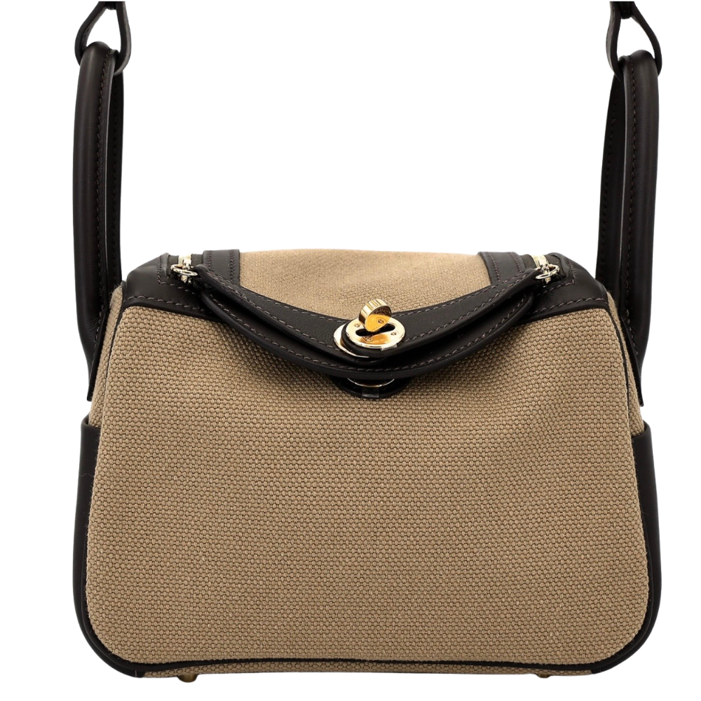 Lindy II Mini Bag Toile & Cuir Mousse