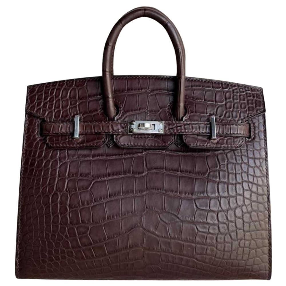 Birkin 20 Havane