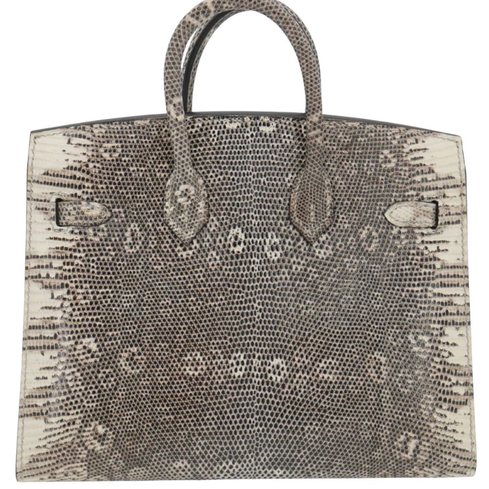 Birkin 20 Ombre Lizard