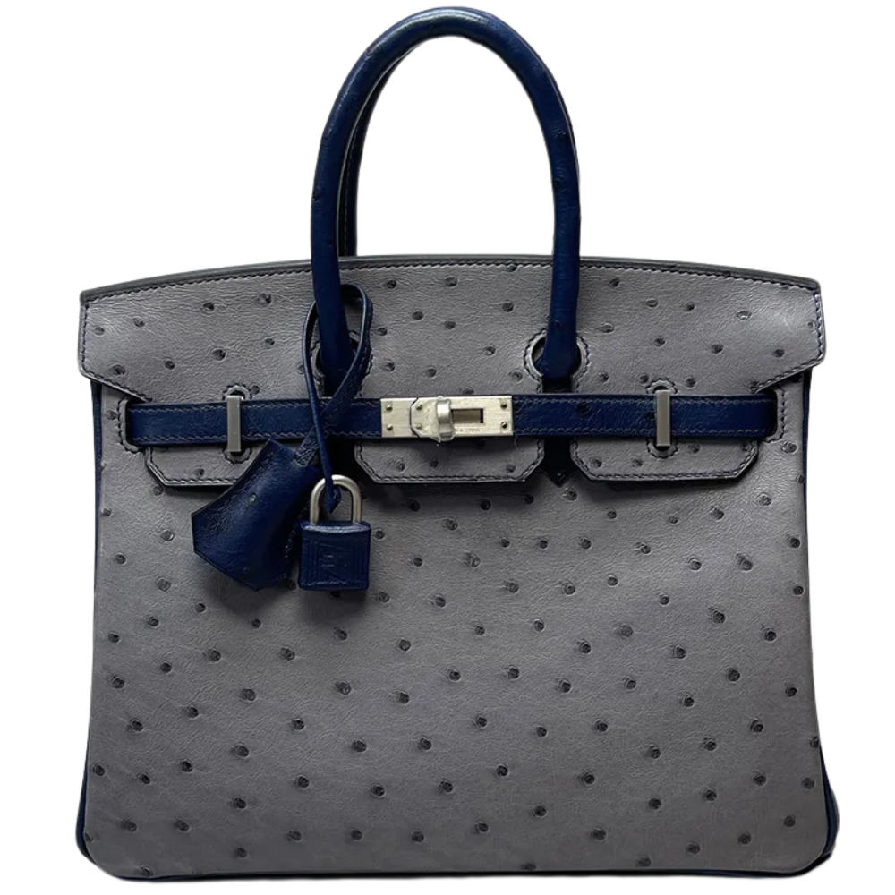 Birkin 25 Gris Agate / Blue Indigo