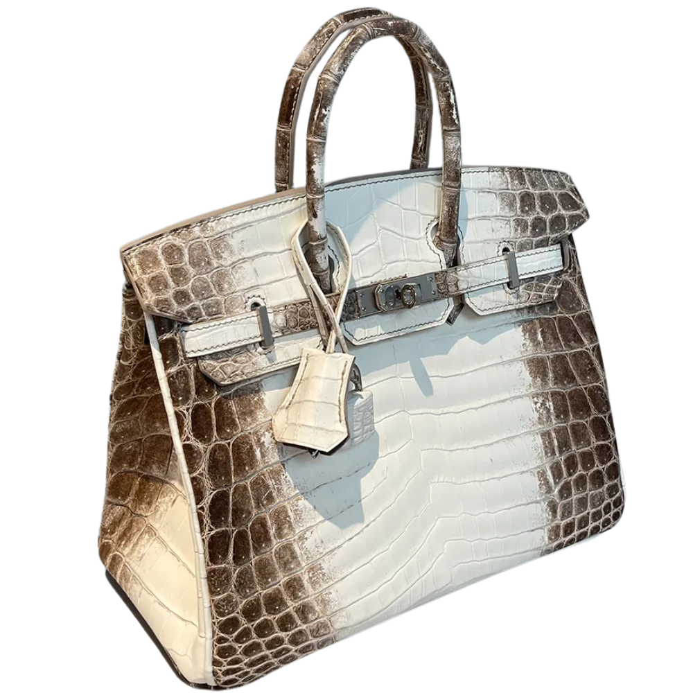 Birkin 25 Himalaya Blanc