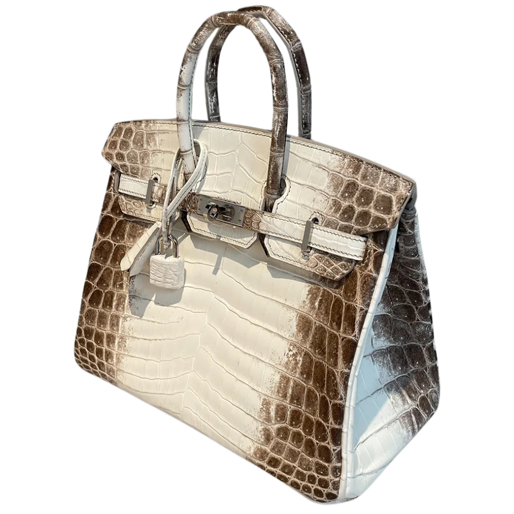 Birkin 25 Himalaya Blanc
