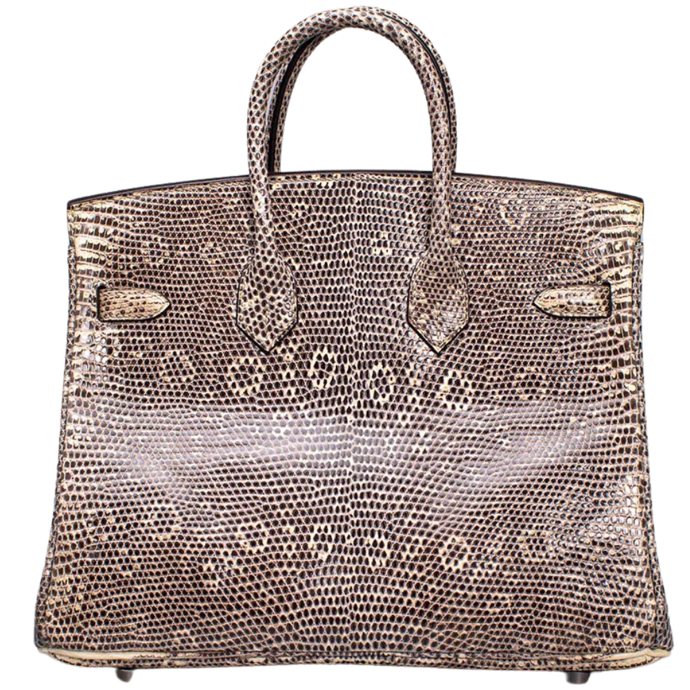 Birkin 25 Ombré