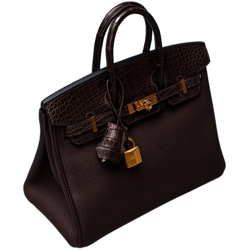 Birkin 25 Touch Ebene