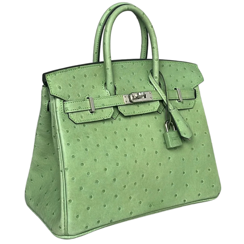 Birkin 25 Vert Criquet