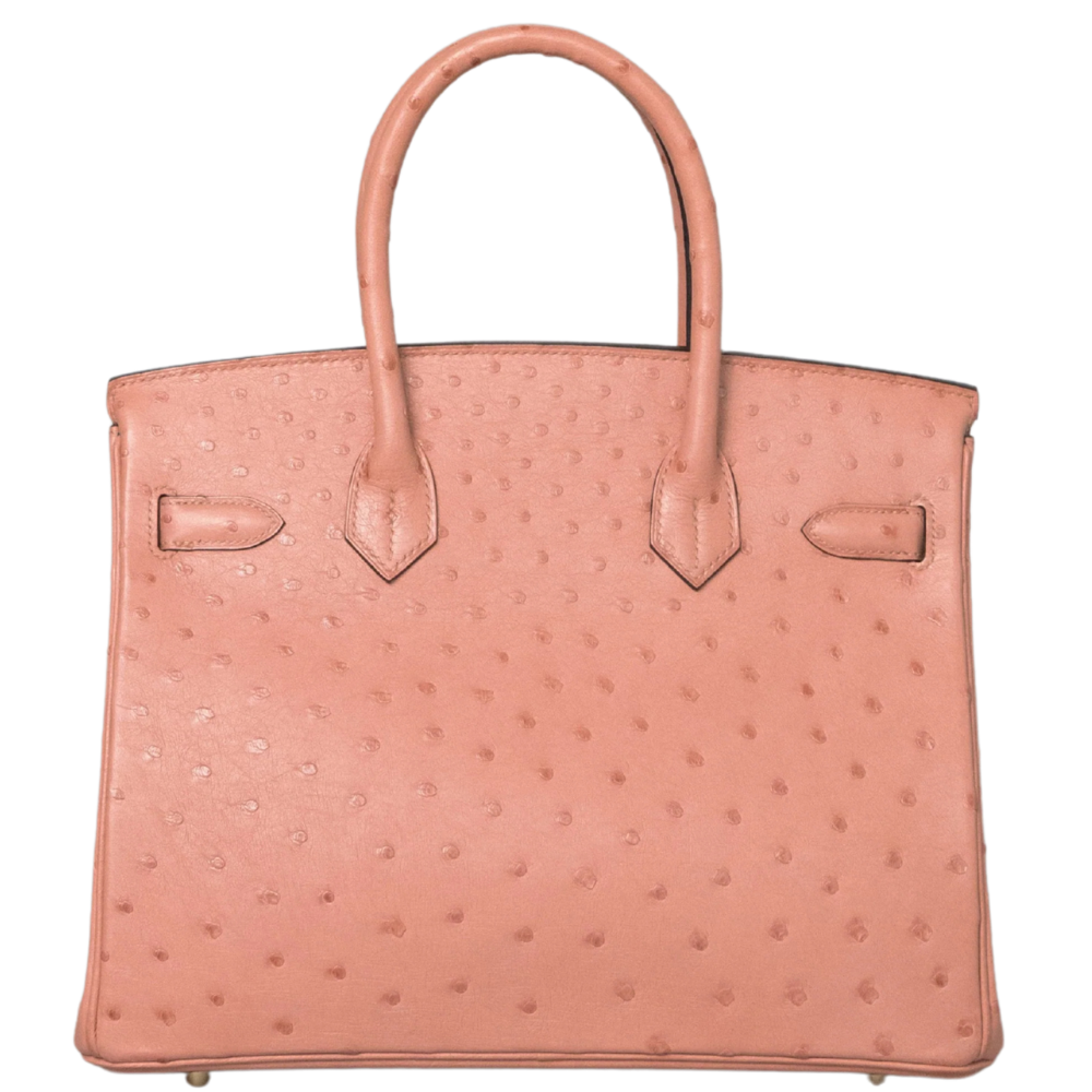 Birkin 30 Terre Cuite