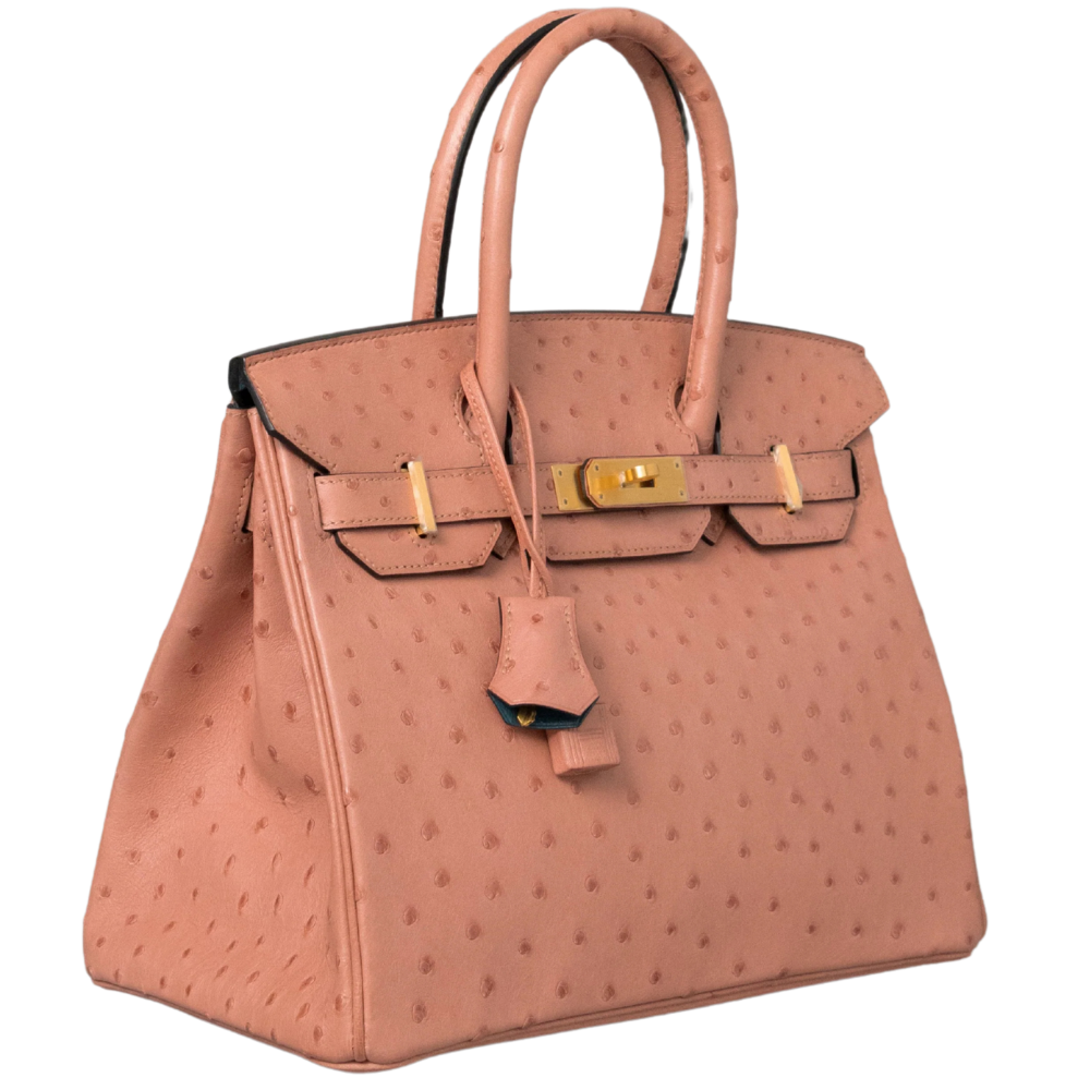 Birkin 30 Terre Cuite