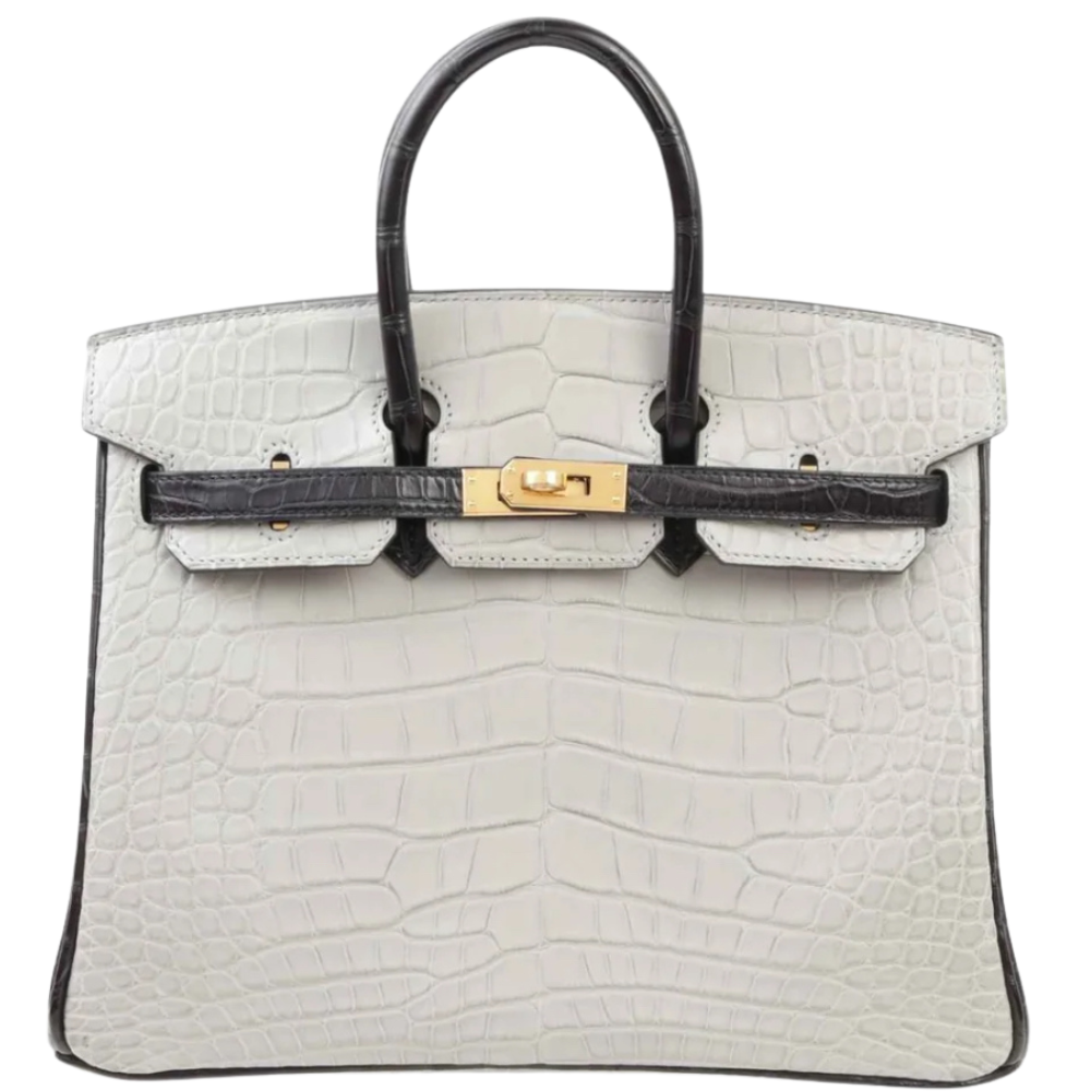 Birkin 25 Gris Perle / Black