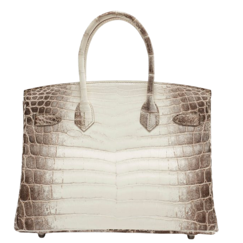 Birkin 30 Himalaya Blanc