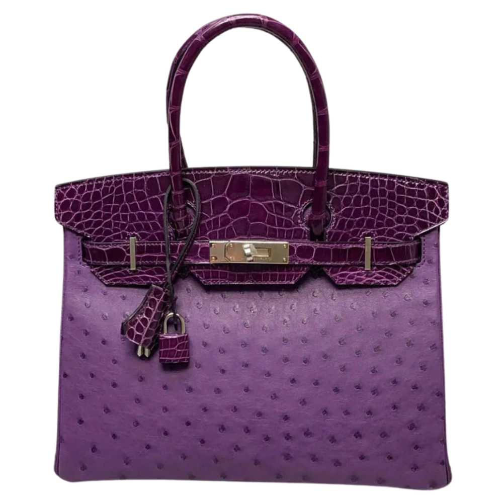 Birkin 30 Touch Violet