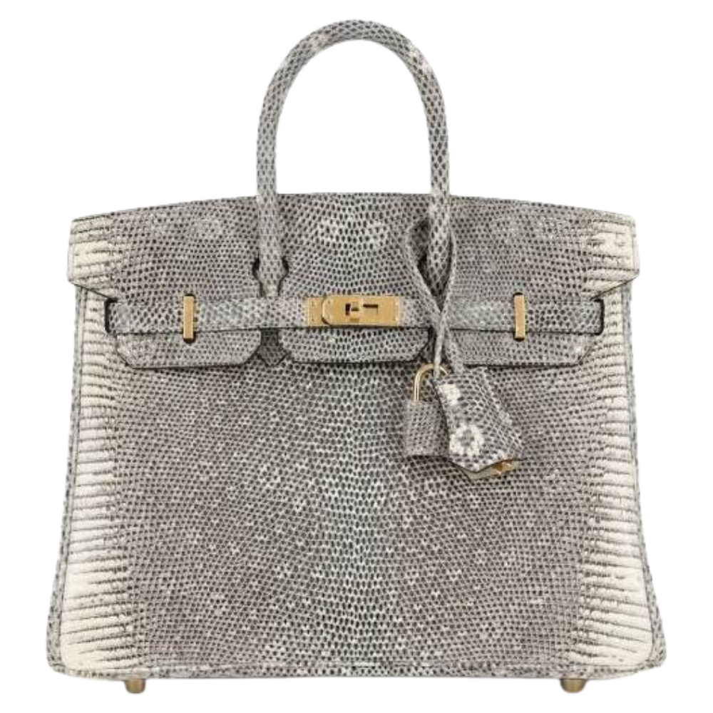 Birkin 25 Ombré