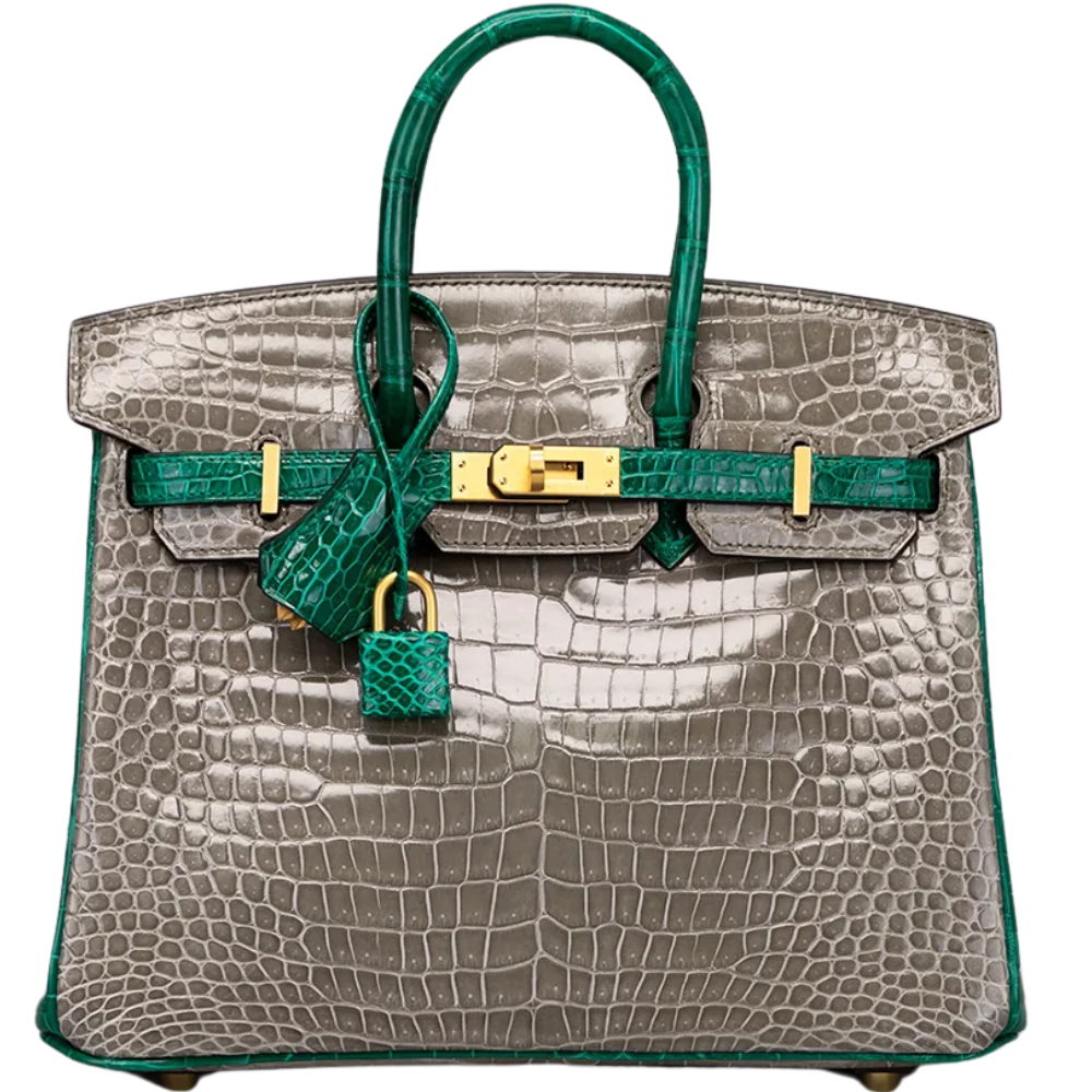 Birkin 25 HSS Gris Tourtelle