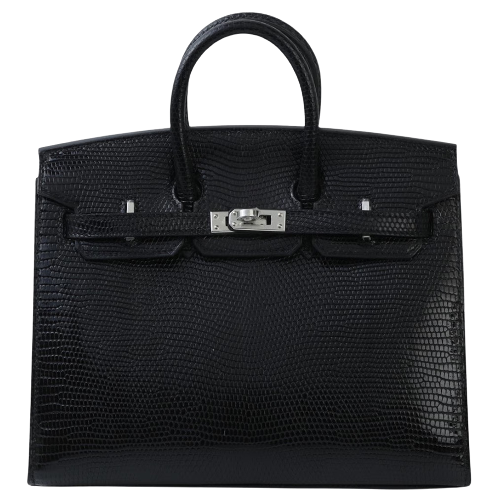 Hermes Birkin 20 Black Lizard front view, showcasing the mini structured silhouette, glossy black exotic lizard skin, dual top handles, and silver turn-lock hardware.