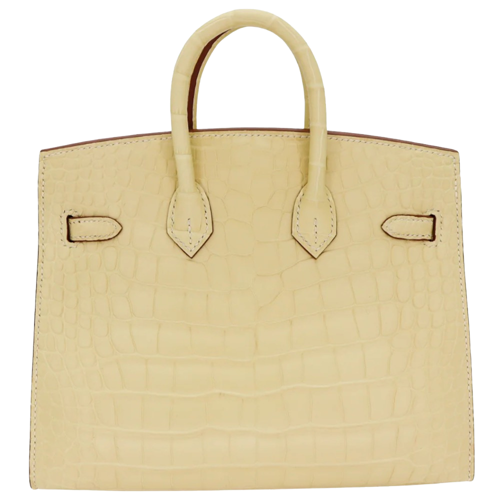 Hermes Birkin 20 Vanille Matte Alligator back view, highlighting the symmetrical exotic scale patterns, velvety matte finish, and protective base feet.