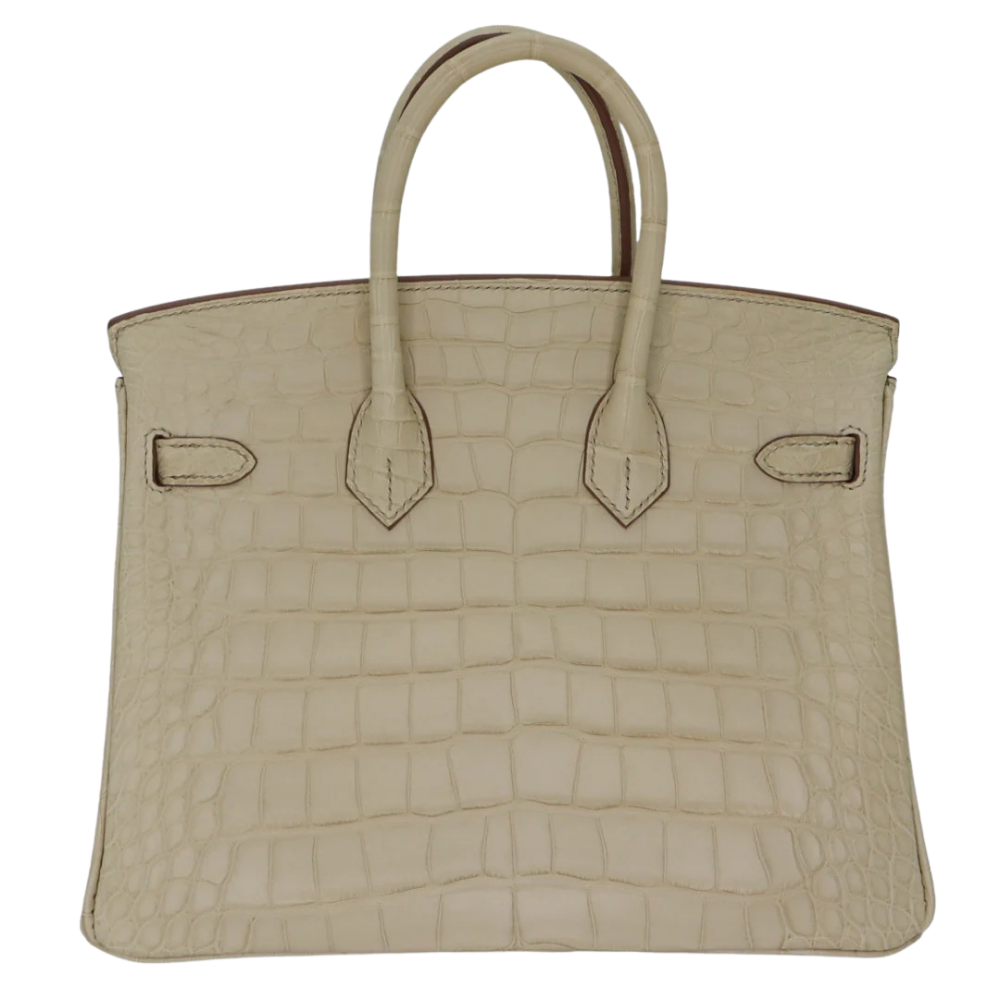 Hermes Birkin 25 Beton Matte Alligator back view, highlighting the symmetrical exotic scale patterns, velvety matte finish, and protective base feet.