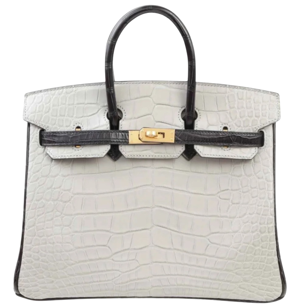 Hermes Birkin 25 Gris Perle Black Matte Alligator front view, showcasing the bicolor grey and black matte scales, dual handles, and gold turn-lock hardware.