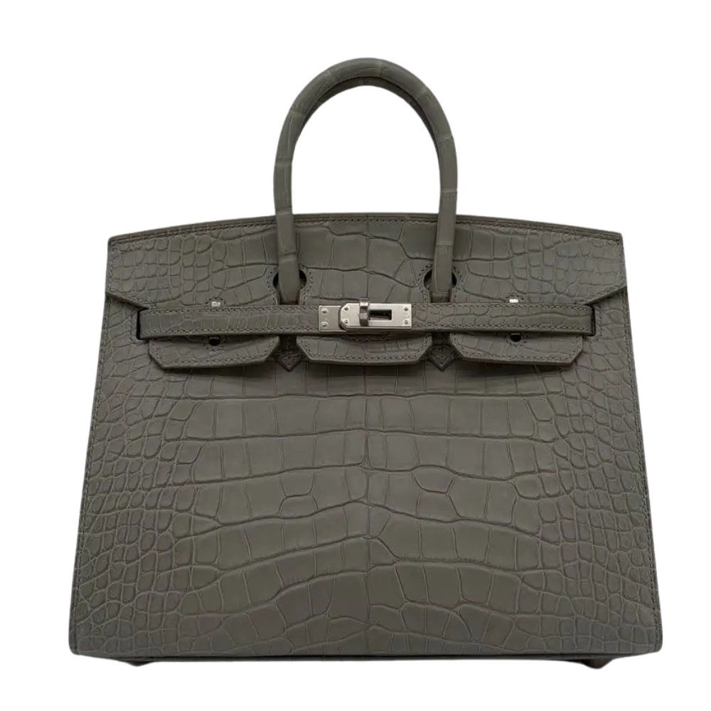 Hermes Birkin 25 Gris Perle matte alligator front view
