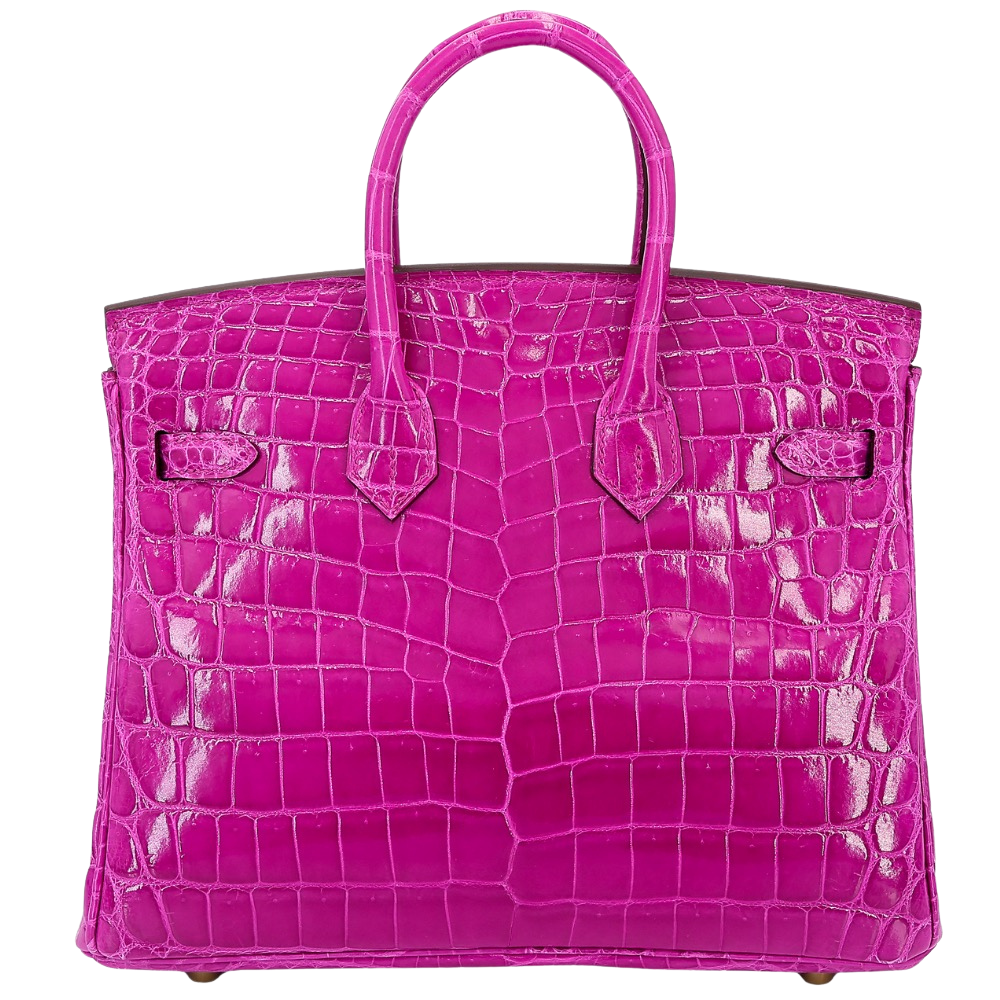 Hermes Birkin 25 Rose Scheherazade Shiny Niloticus Crocodile back view, highlighting the symmetrical exotic scale alignment, high-gloss shine finish, and protective metal feet.
