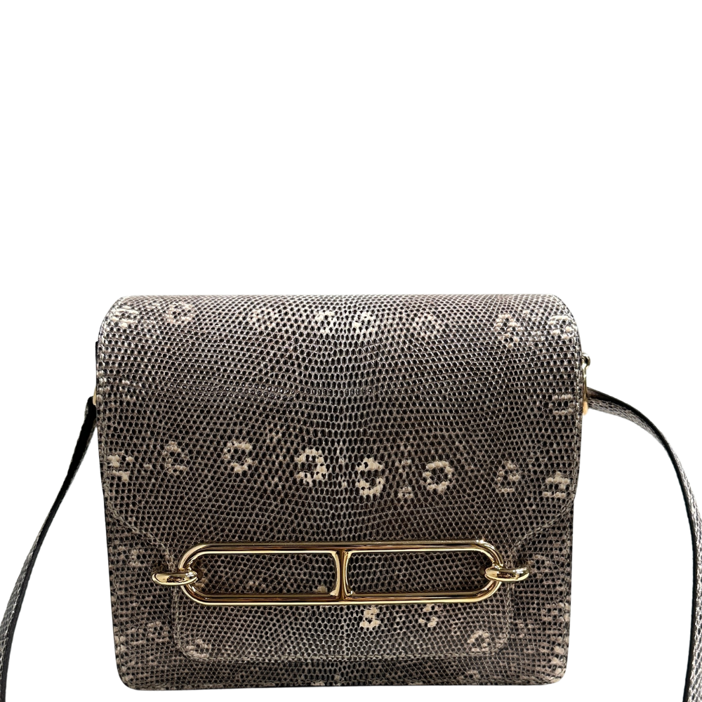 Hermès Roulis 19 in Ombré Lizard leather with rose gold hardware, front view