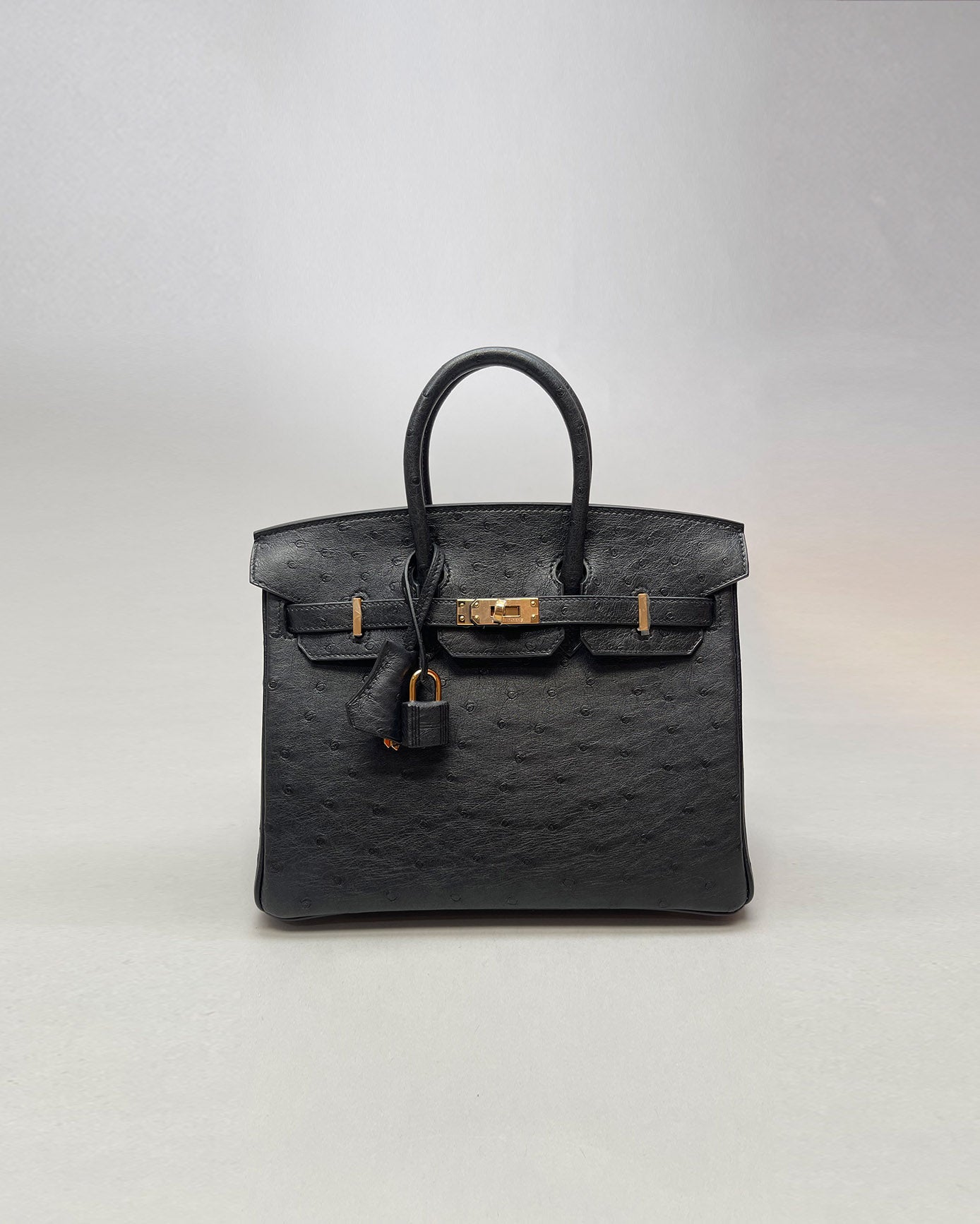 Birkin 25 ostrich handbag Hermès Black in Ostrich - 34151984