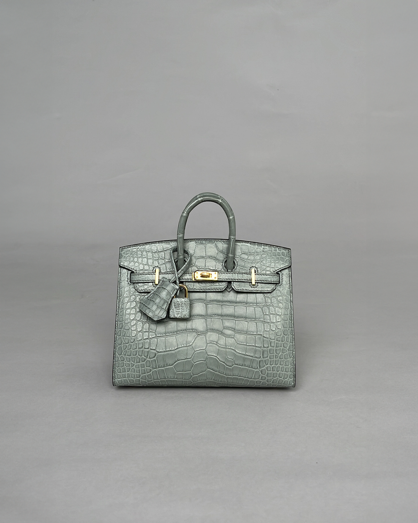 Birkin 20 Gris Ciment