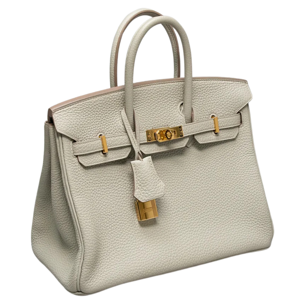 Side view of Hermès Birkin 25 bag in Togo leather, Beton color, showing gold hardware