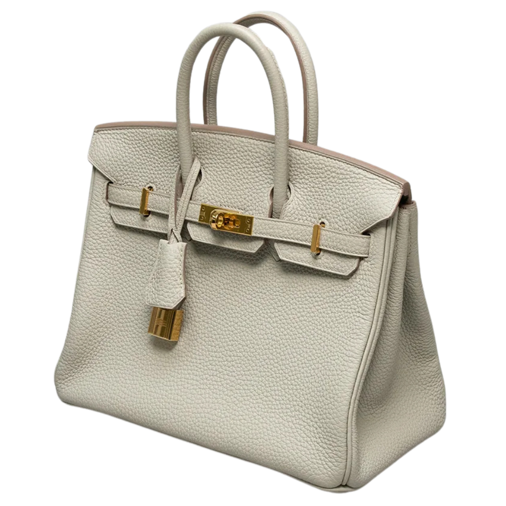 Side view of Hermès Birkin 25 bag in Togo leather, Beton color, showing gold hardware