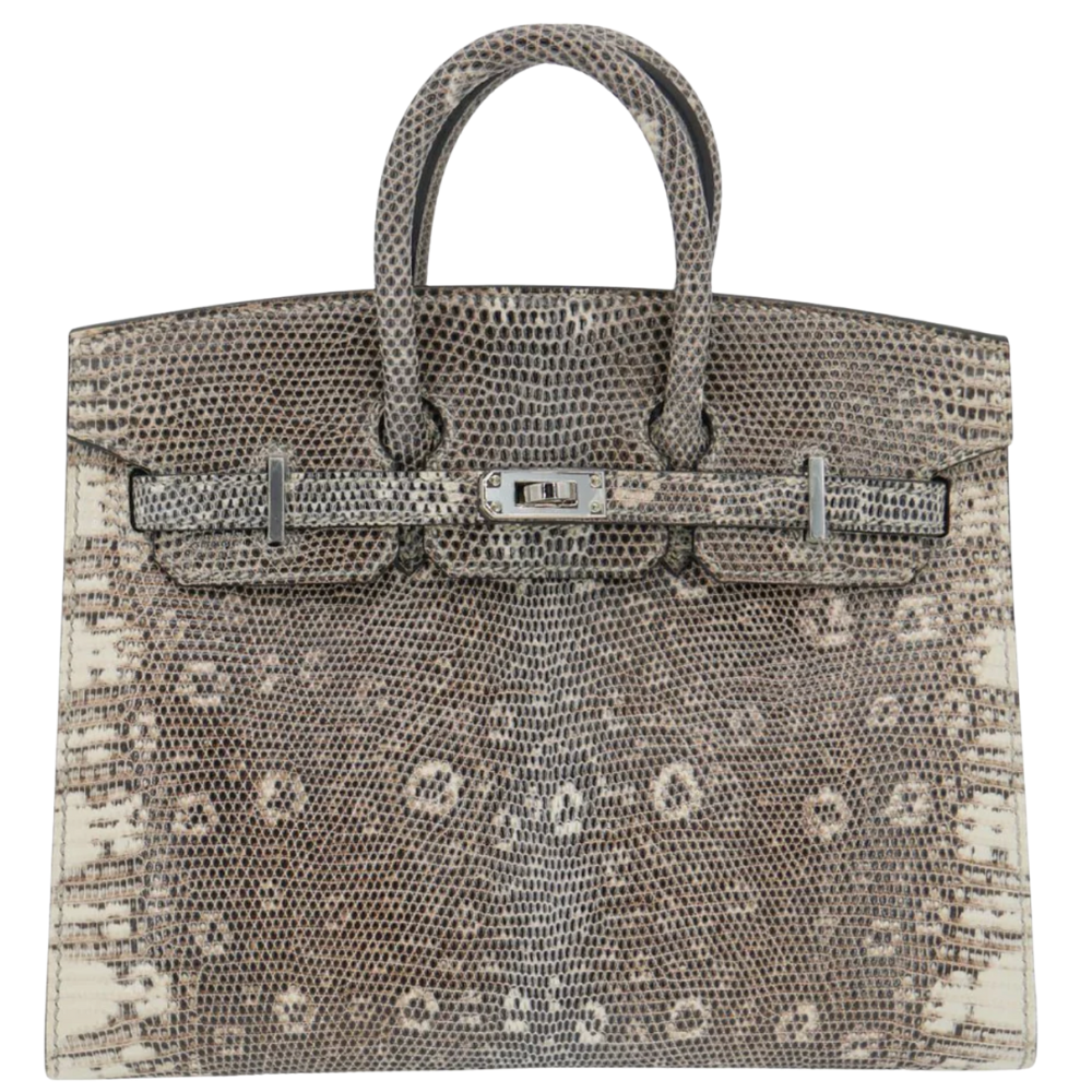 Birkin 20 Ombre Lizard