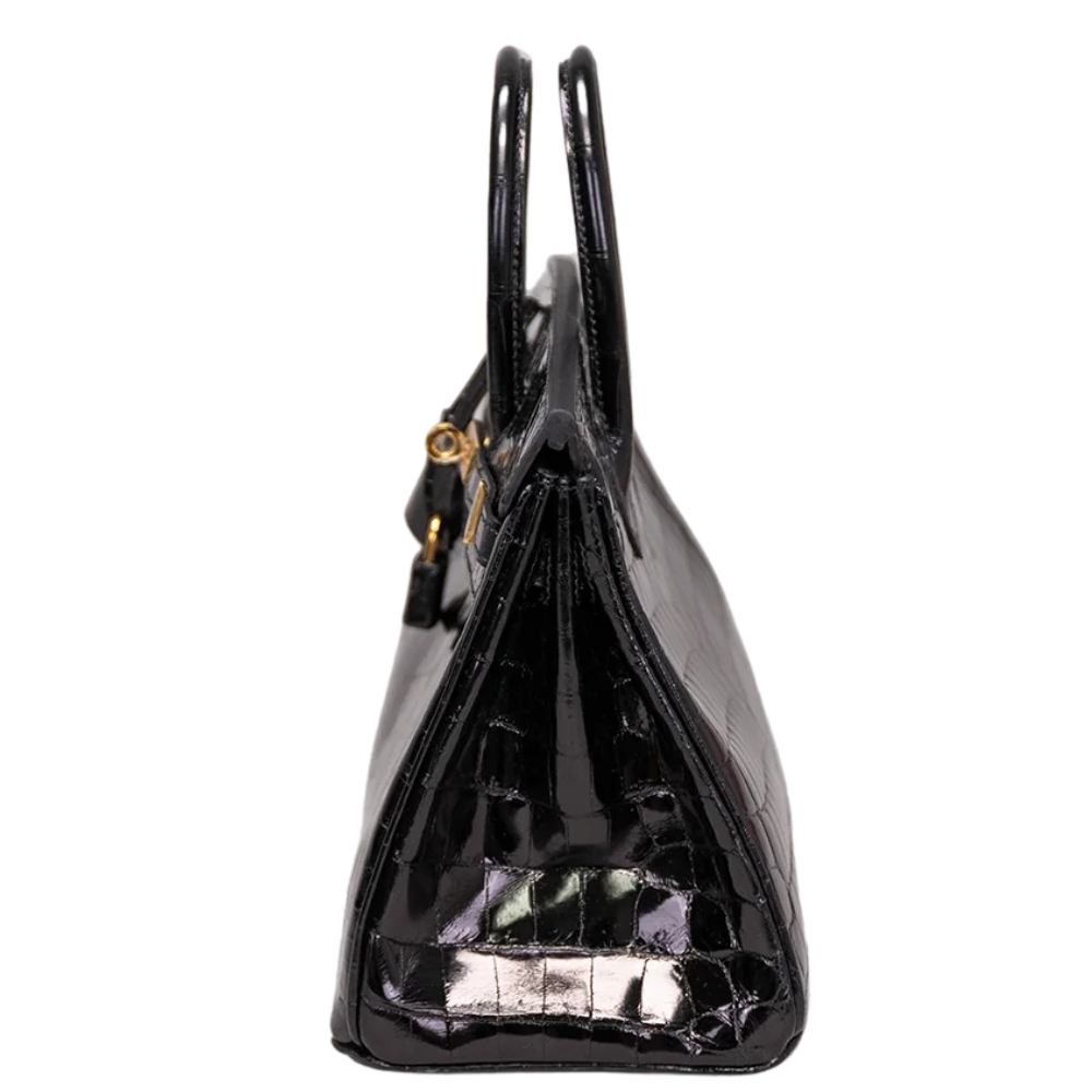 Birkin 25 Black Shiny Niloticus