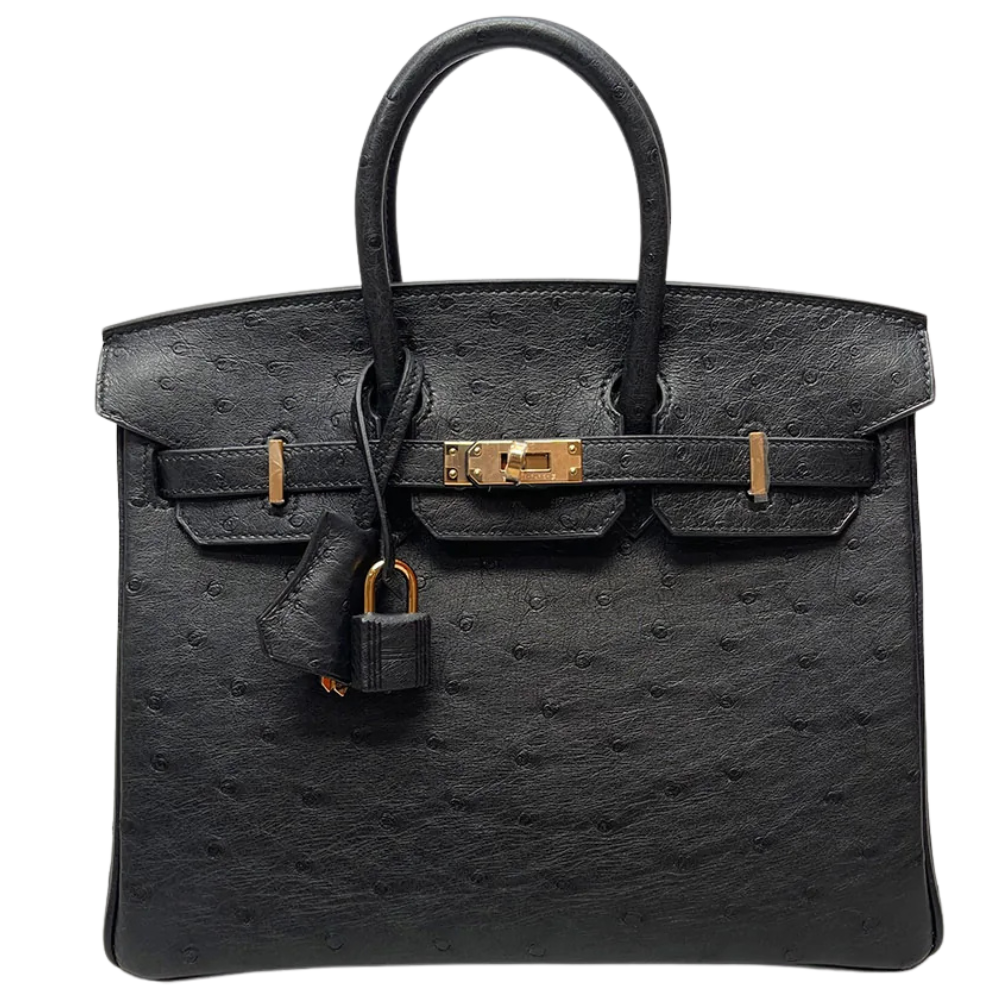 Birkin 25 Black