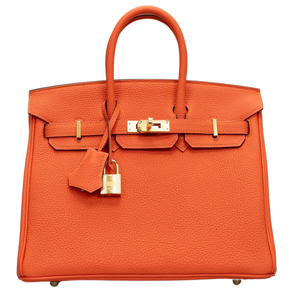 Birkin 25 Feu