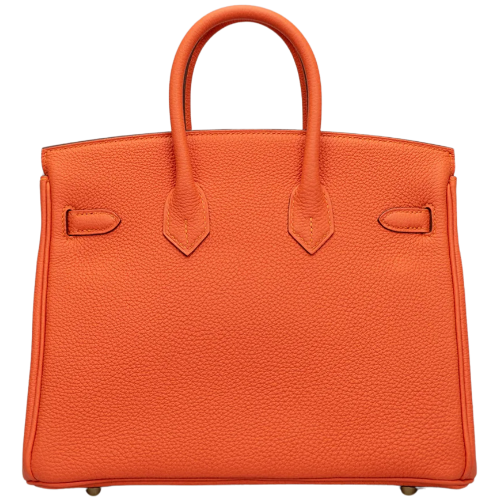Birkin 25 Feu