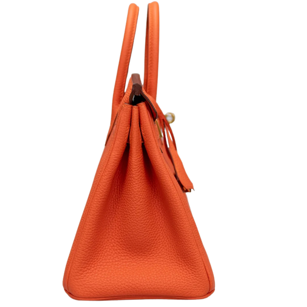 Birkin 25 Feu
