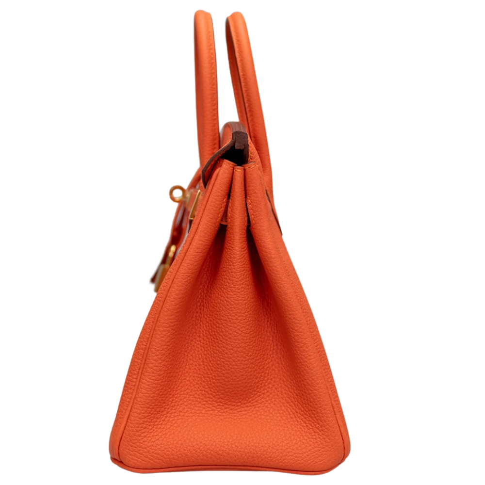 Birkin 25 Feu