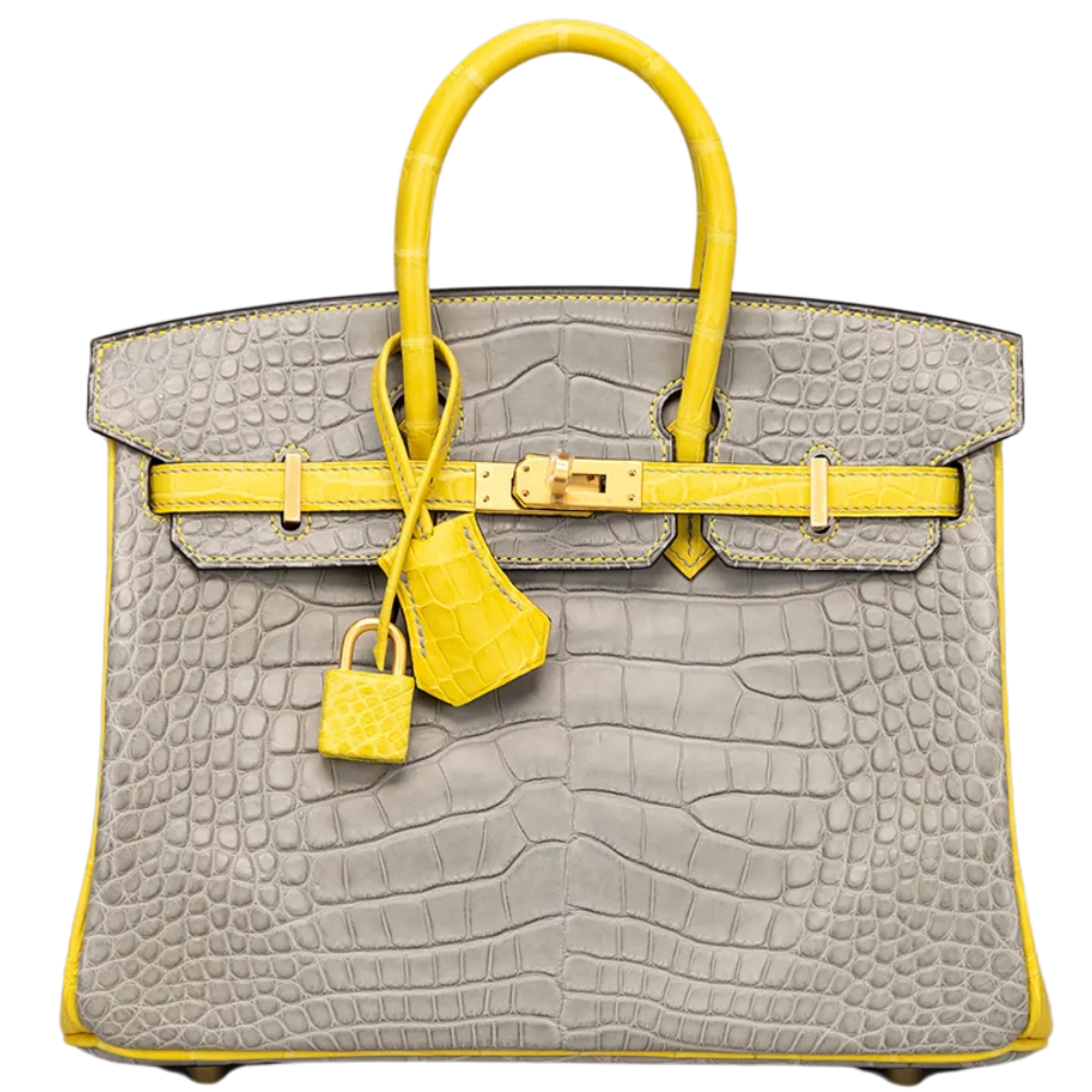 Birkin 25 Gris Perle / Jaune Mimosa