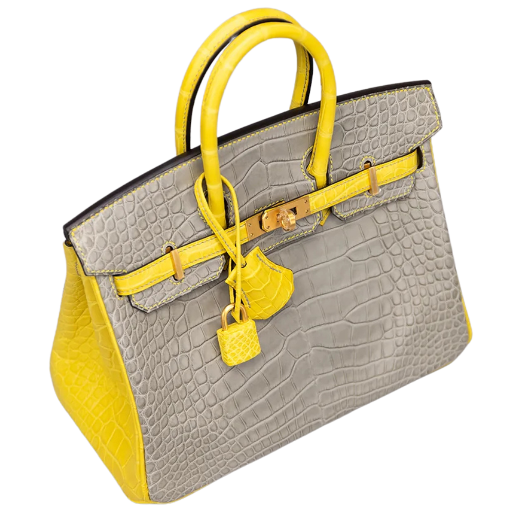 Birkin 25 Gris Perle / Jaune Mimosa