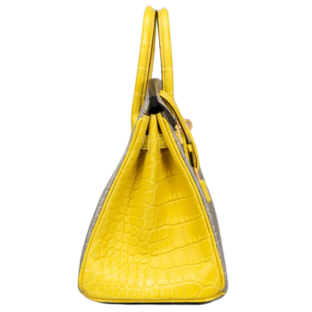 Birkin 25 Gris Perle / Jaune Mimosa