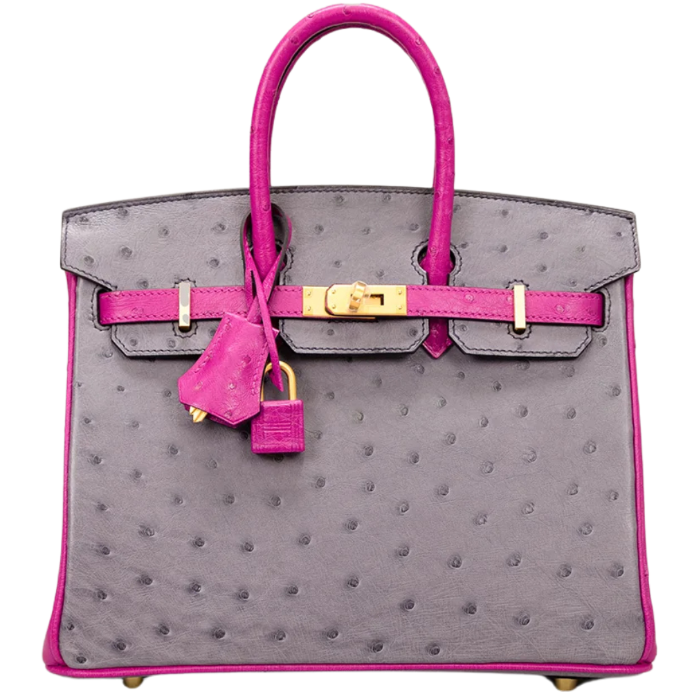 Birkin 25 Gris Rose Agate / Rose Pourpre