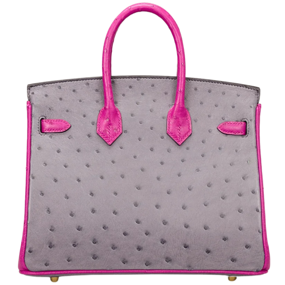Birkin 25 Gris Rose Agate / Rose Pourpre