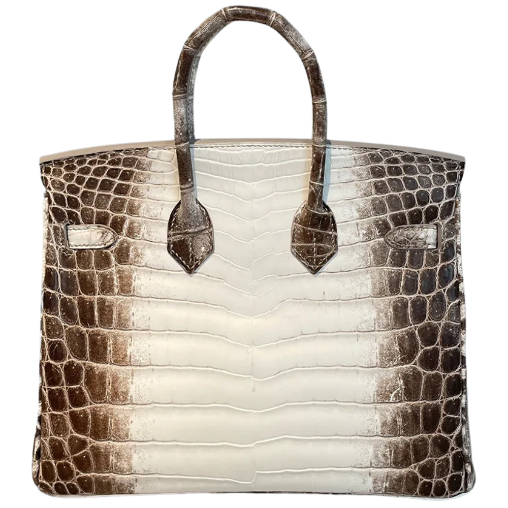 Birkin 25 Himalaya Blanc