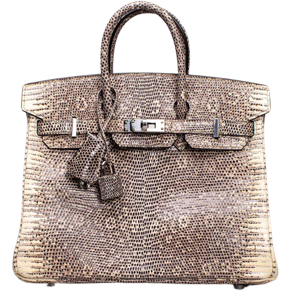 Birkin 25 Ombré