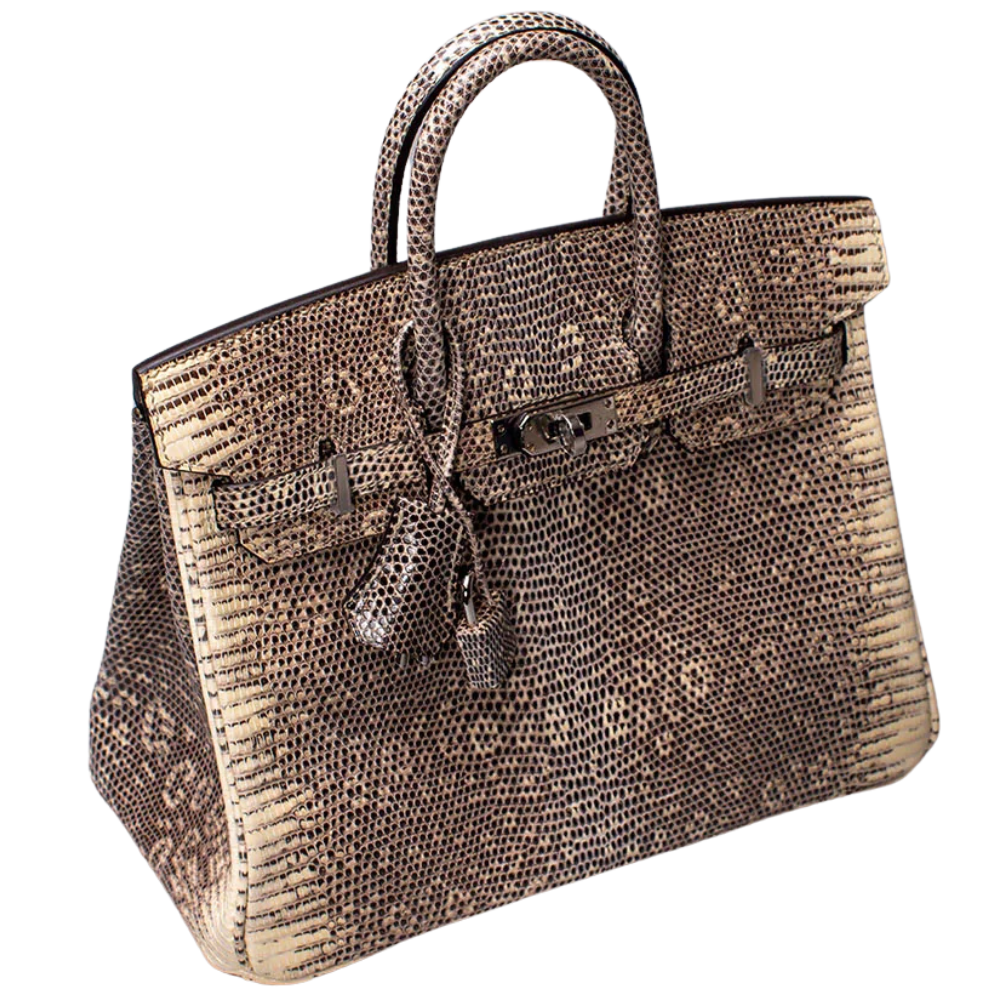 Birkin 25 Ombré