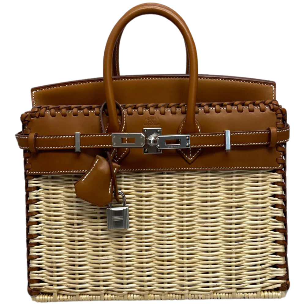 Birkin 25 Picnic Barenia