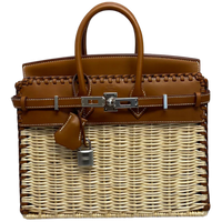 Birkin 25 Picnic Barenia