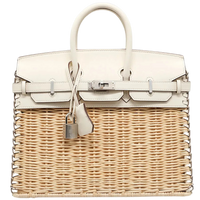 Birkin 25 Picnic Nata