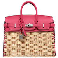 Birkin 25 Picnic Framboise