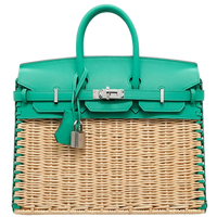 Birkin 25 Picnic Menthe