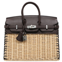 Birkin 25 Picnic Rouge Sellier