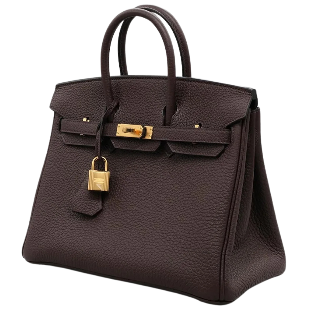 Birkin 25 Rouge Sellier
