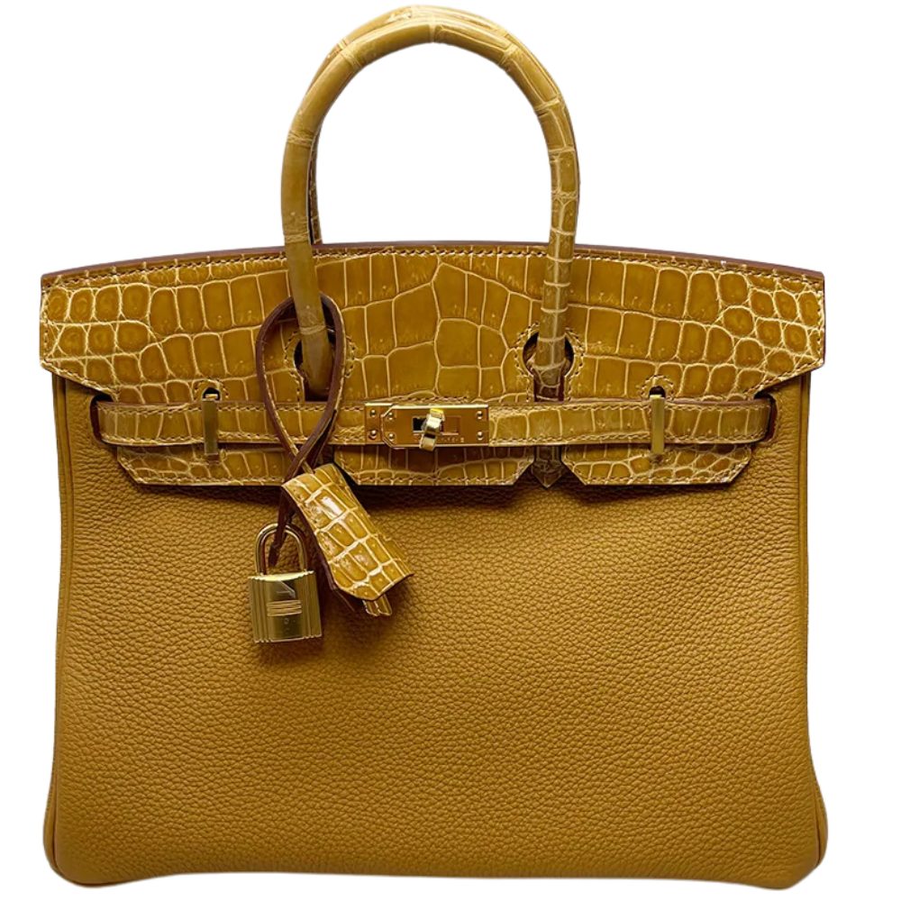 Birkin 25 Touch Caramel